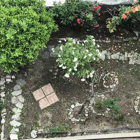 Tortosa Blue Konukevi Split